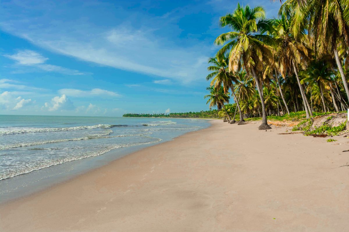Praia de areia clara com coqueiros e mar calmo sob céu azul